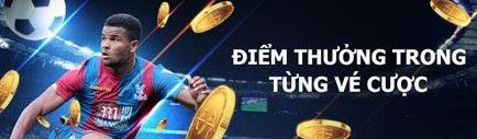 ĐIỂM THƯỞNG TRONG TỪNG VÉ CƯỢC